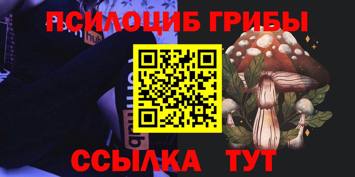 Псилоцибиновые грибы GOLDEN TEACHER Саратов