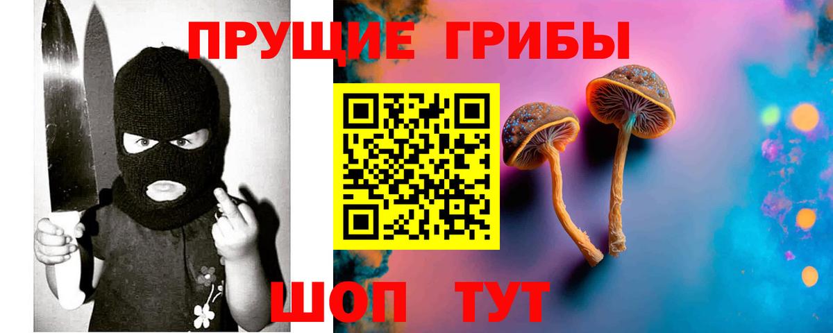 сколько стоит  Вход с VPN  Саратов  Галлюциногенные грибы Psilocybe 
